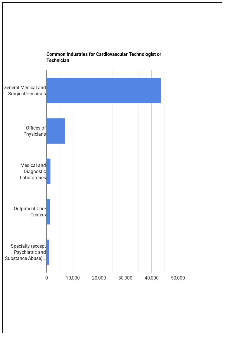 What is a Cardiovascular Technologist or Technician & What do They Do