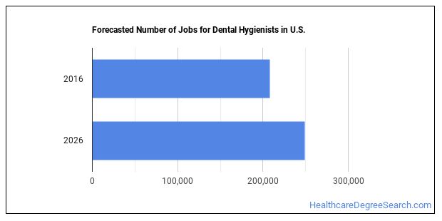 How Much Do Dental Hygienist Make In Washington State What's It Like Being a Dental Hygienist? - Healthcare Degree Search