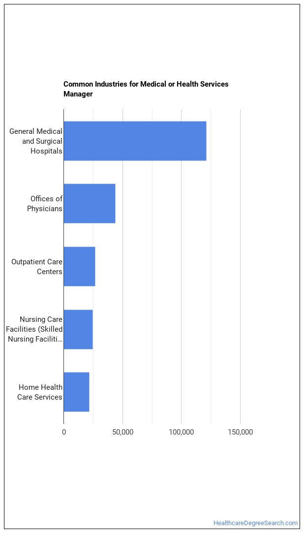 What is a Medical or Health Services Manager & What do They Do