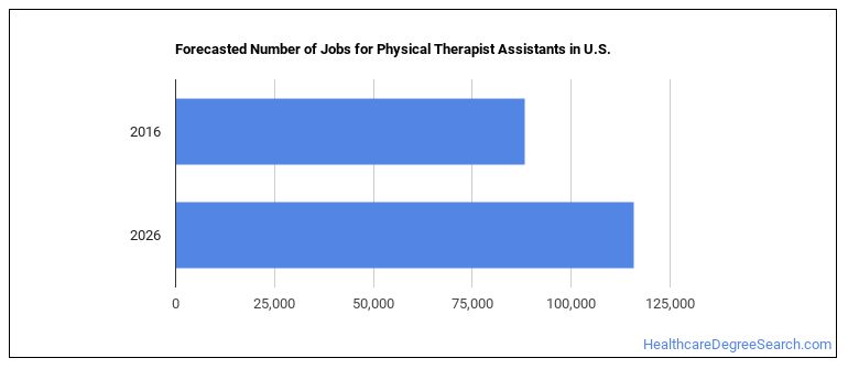 Should You Become a Physical Therapist Assistant? - Healthcare Degree
