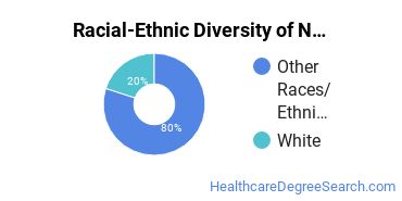Racial-ethnic diversity of Nursing majors at Aaniiih Nakoda College