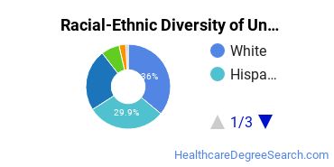 Racial-Ethnic Diversity of Abilene Christian University-Undergraduate Online Undergraduate Students