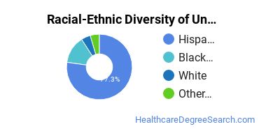 Racial-Ethnic Diversity of Agape College of Business and Science Undergraduate Students