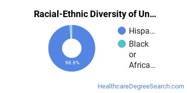 Racial-Ethnic Diversity of Antigua College International Undergraduate Students