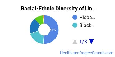 Racial-Ethnic Diversity of Arizona College-Glendale Undergraduate Students