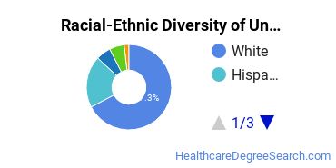 Racial-Ethnic Diversity of Arizona College of Nursing-Salt Lake City Undergraduate Students