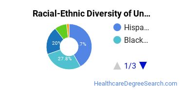 Racial-Ethnic Diversity of Arizona College of Nursing-Tampa Undergraduate Students