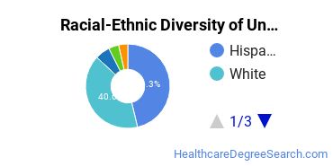 Racial-Ethnic Diversity of Arizona College of Nursing-Tucson Undergraduate Students