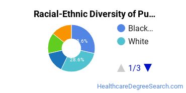 Racial-ethnic diversity of Public Health majors at Bryan University