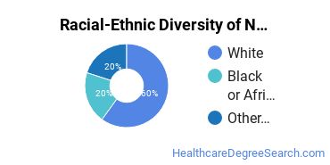 Racial-ethnic diversity of Nurse Midwifery majors at Case Western Reserve University
