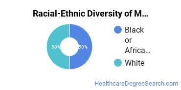 Racial-ethnic diversity of Mental & Social Health Services majors at Chesapeake College