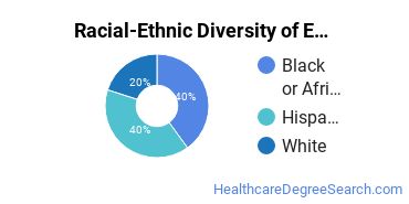 Racial-ethnic diversity of Emergency Medical Technology majors at City College-Hollywood