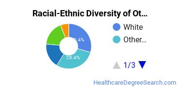 Racial-ethnic diversity of Other Mental Health Services majors at Clover Park Technical College