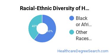 Racial-ethnic diversity of Health/Medical Admin Services majors at DeVry University-Georgia
