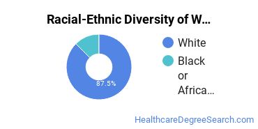 Racial-ethnic diversity of Women's Health Nursing majors at Emory University