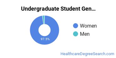 Undergraduate Gender Diversity at Florida Academy of Nursing