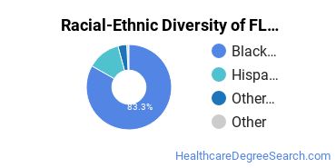 Racial-Ethnic Diversity of Florida Academy of Nursing Undergraduate Students