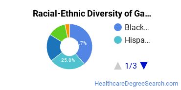 Racial-Ethnic Diversity of Galen Health Institutes-Austin Campus Undergraduate Students