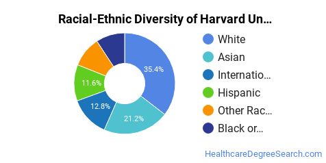 harvard diversity undergraduate majors