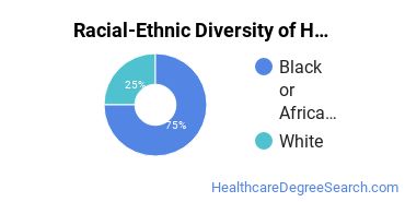 Racial-ethnic diversity of Health Care Management majors at Herzing University-Madison