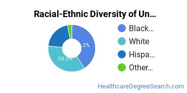 Racial-Ethnic Diversity of Herzing University-Tampa Undergraduate Students
