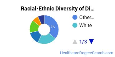Racial-ethnic diversity of Sonographer/Ultrasound Technology majors at Howard Community College
