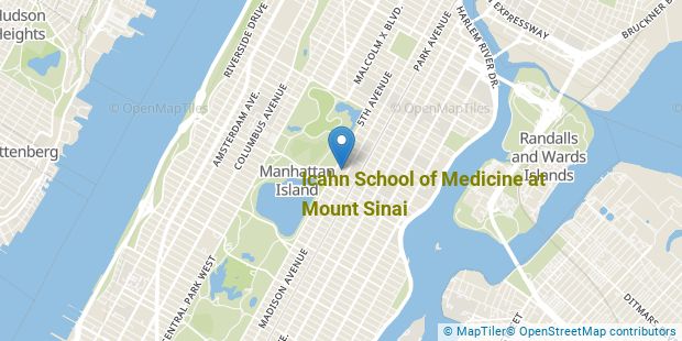 icahn school of medicine at mount sinai hospital placement