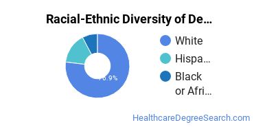Racial-ethnic diversity of Dental Support Services majors at Lake Land College
