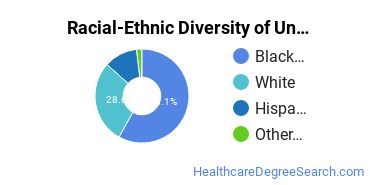 Racial-Ethnic Diversity of Lakewood University Undergraduate Students