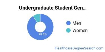 Undergraduate Gender Diversity at LTI; Lincoln Tech; Lincoln Educational Services; LCT