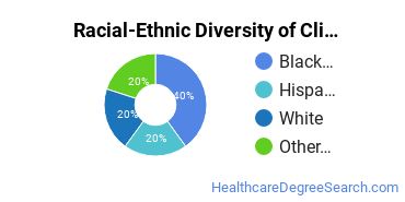 Racial-ethnic diversity of Clinical/Medical Laboratory Science majors at Long Island University