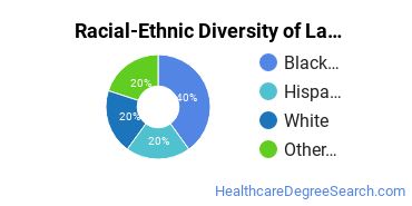 Racial-ethnic diversity of Lab Sciences & Medical Technology majors at Long Island University