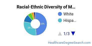 Racial-Ethnic Diversity of Manhattanville University Undergraduate Students