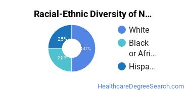 Racial-ethnic diversity of Nursing Science majors at Marian University