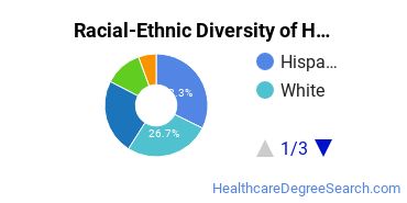 Racial-ethnic diversity of Health Sciences & Services majors at Mercy University