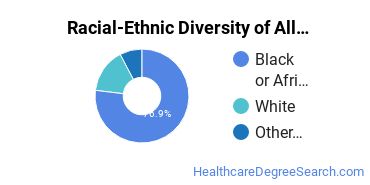 Racial-ethnic diversity of Allied Health Services majors at Miller-Motte College-Macon