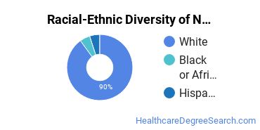 Racial-ethnic diversity of Nursing majors at Minnesota State College Southeast