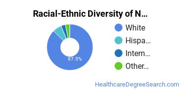 Racial-ethnic diversity of Nursing majors at Pennsylvania State University-Main Campus