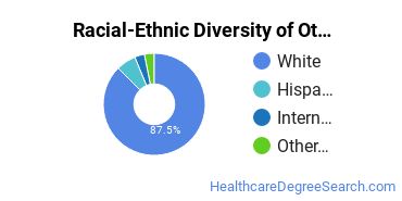 Racial-ethnic diversity of Nursing Research & Other majors at Pennsylvania State University-Main Campus