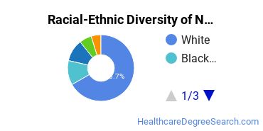 Racial-ethnic diversity of Nursing majors at Pennsylvania State University-Penn State Abington