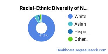 Racial-ethnic diversity of Nursing majors at Pennsylvania State University-Penn State Erie-Behrend College