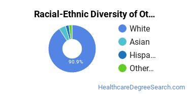 Racial-ethnic diversity of Nursing Research & Other majors at Pennsylvania State University-Penn State Erie-Behrend College