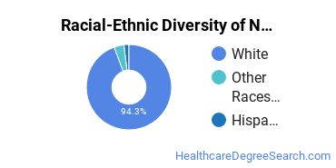 Racial-ethnic diversity of Nursing majors at Pennsylvania State University-Penn State Fayette- Eberly