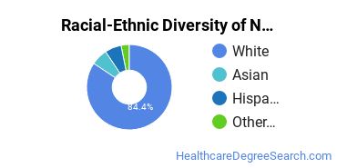 Racial-ethnic diversity of Nursing majors at Pennsylvania State University-Penn State Harrisburg