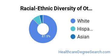 Racial-ethnic diversity of Nursing Research & Other majors at Pennsylvania State University-Penn State Harrisburg