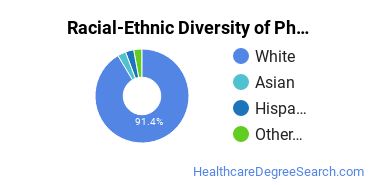 Racial-ethnic diversity of Physical Therapy Technician majors at Pennsylvania State University-Penn State Hazleton