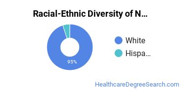 Racial-ethnic diversity of Nursing majors at Pennsylvania State University-Penn State Mont Alto
