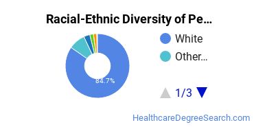 Racial-Ethnic Diversity of Pennsylvania State University-Penn State New Kensington Undergraduate Students