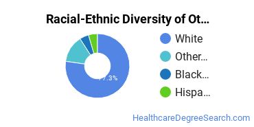 Racial-ethnic diversity of Nursing Research & Other majors at Pennsylvania State University-Penn State Scranton
