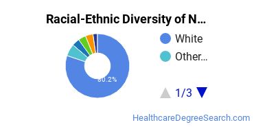Racial-ethnic diversity of Nursing majors at Pennsylvania State University-World Campus